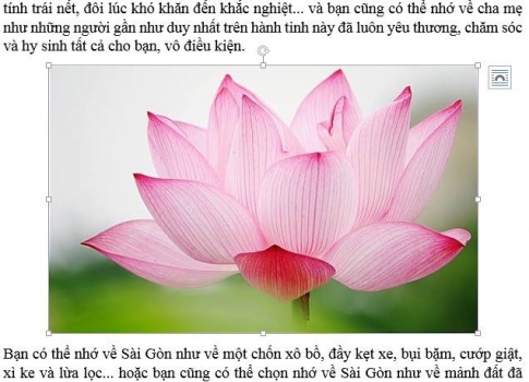 Cách làm giảm kích thước ảnh trong word vẫn giữ được độ nét